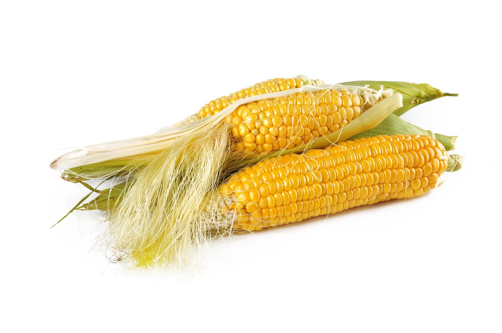 Export Grade Maize