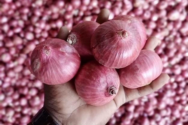 Indian Red Onion - Export Grade