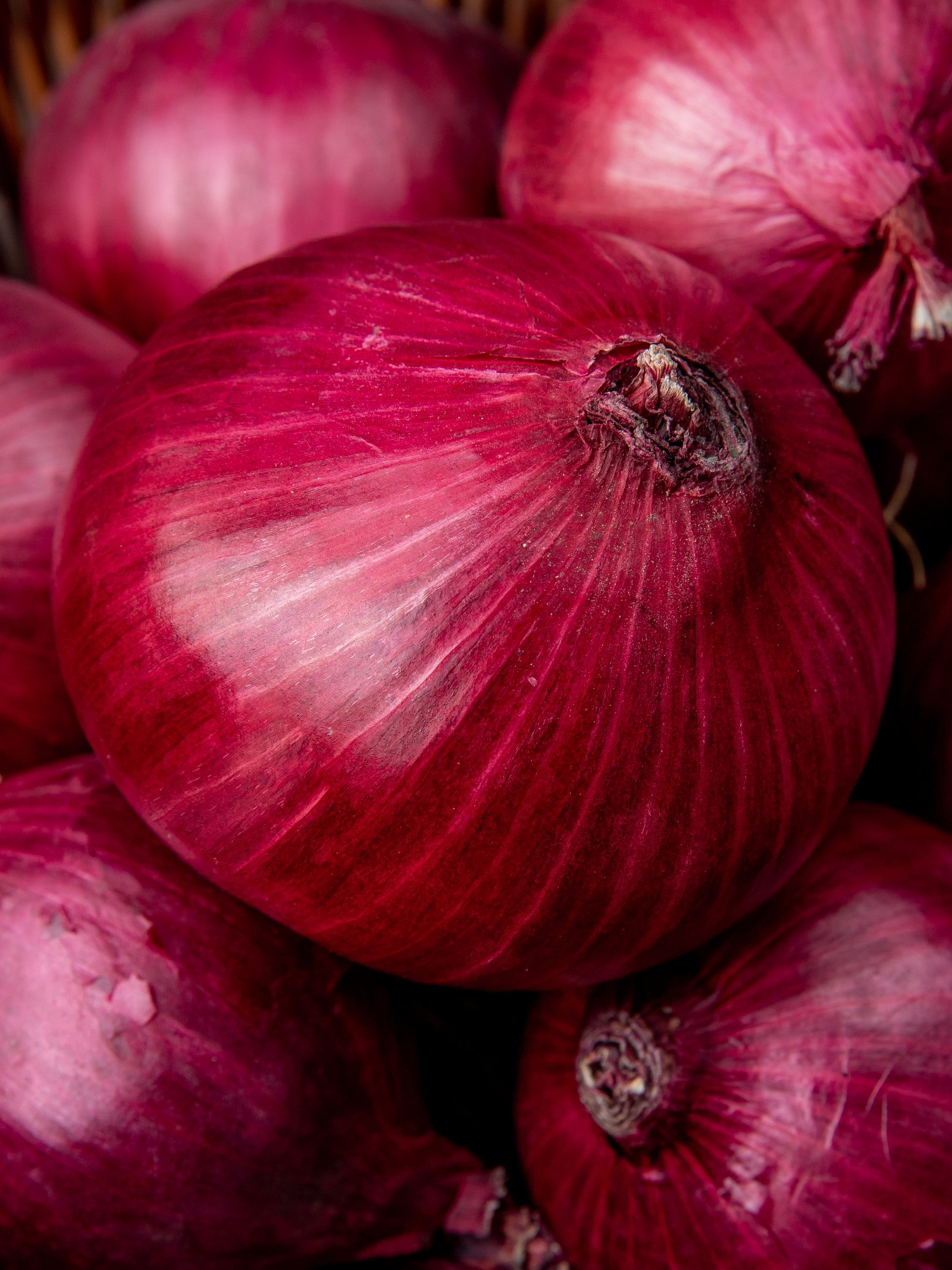 Red Onion Close Up