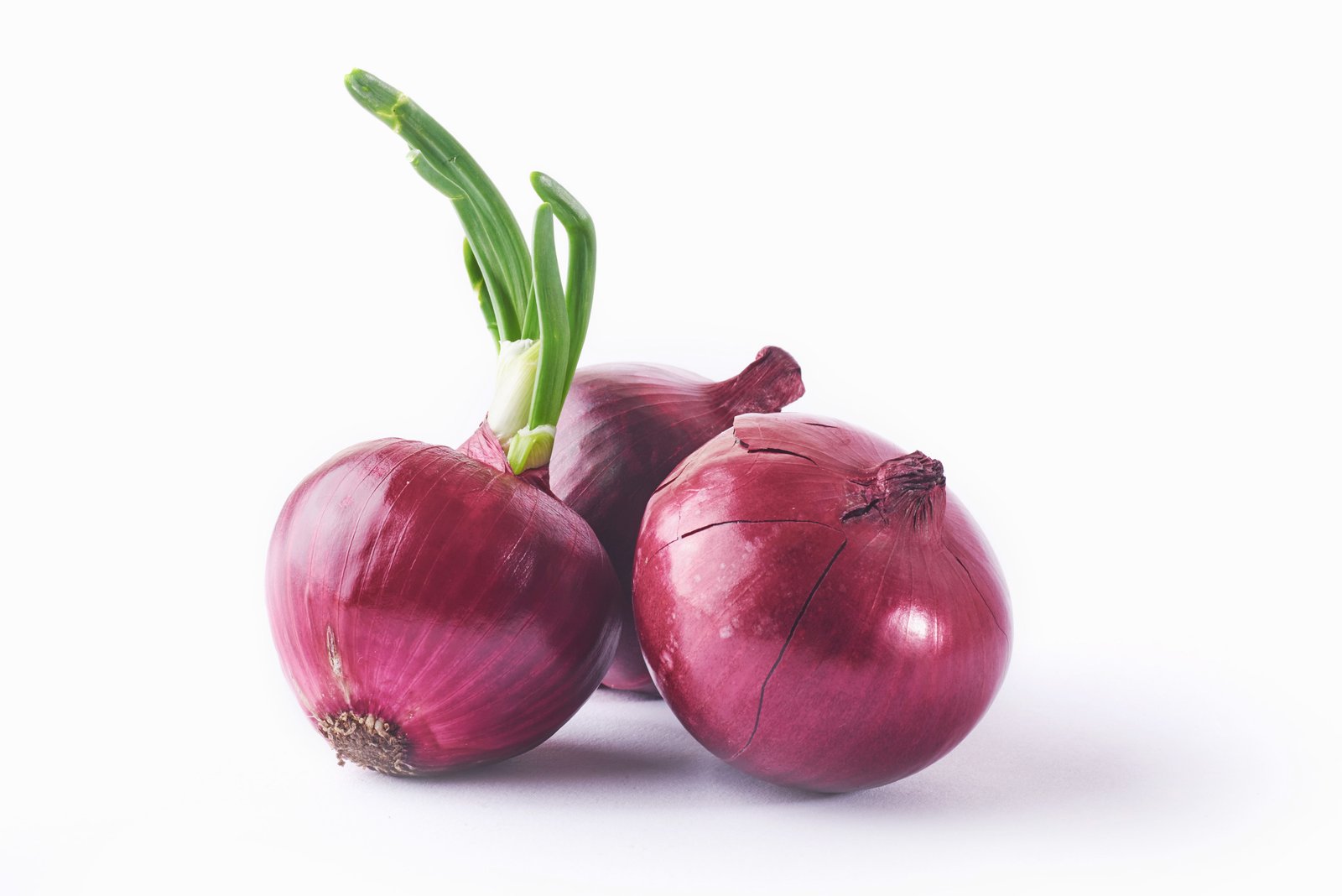 Red Onion Isolated